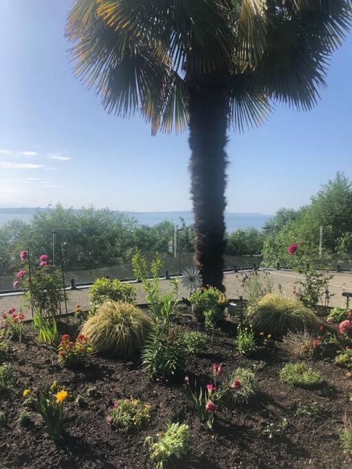 1-Bedroom Seaview Guesthouse On Seattle Luxury Estate With Views Of Olympic Mountains 外观 照片