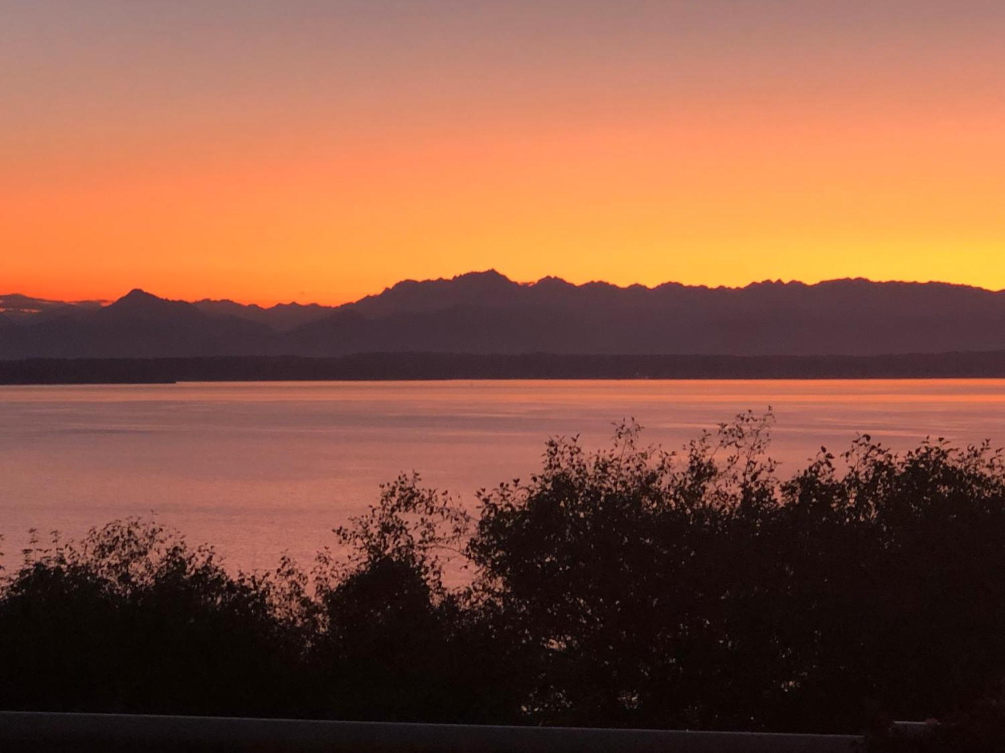 1-Bedroom Seaview Guesthouse On Seattle Luxury Estate With Views Of Olympic Mountains 外观 照片